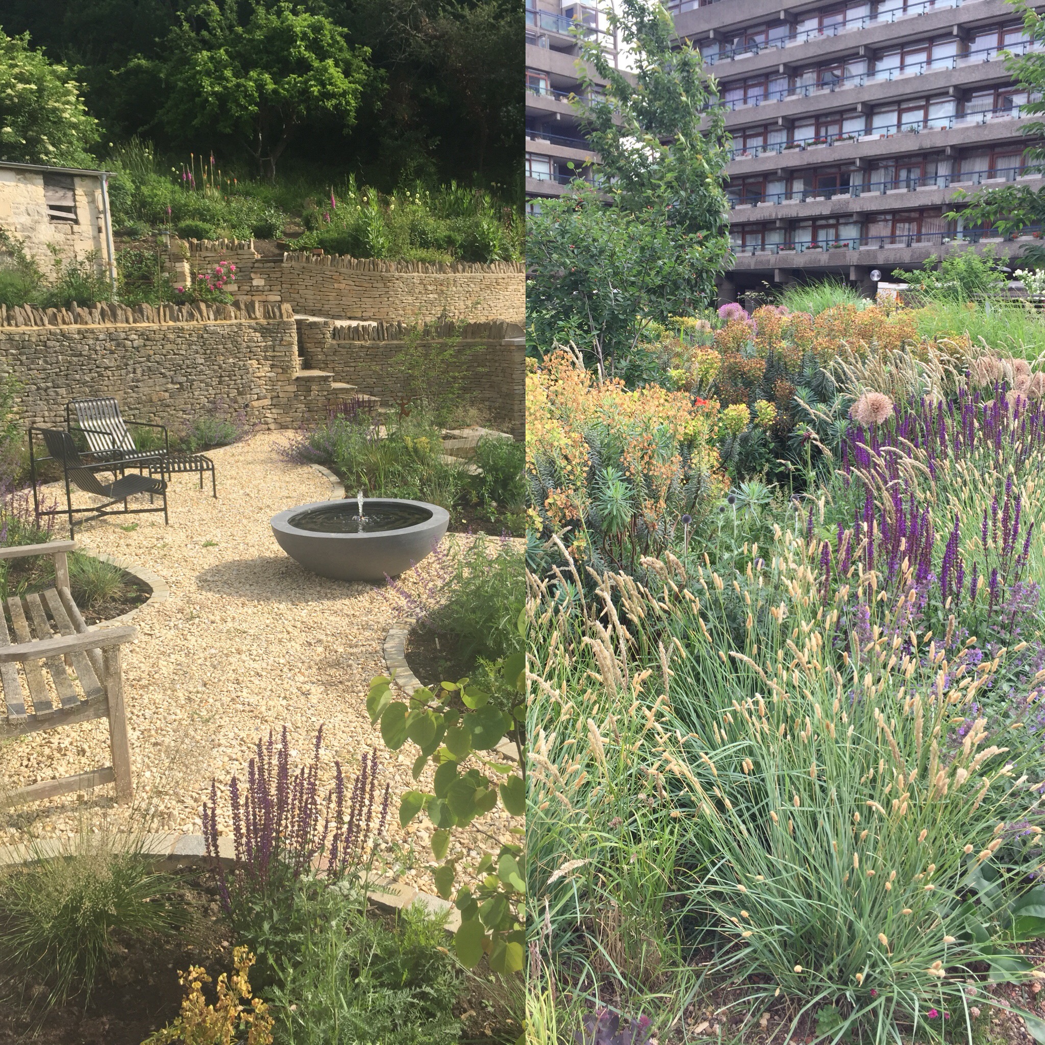 Our New Garden and The Barbican Gardens